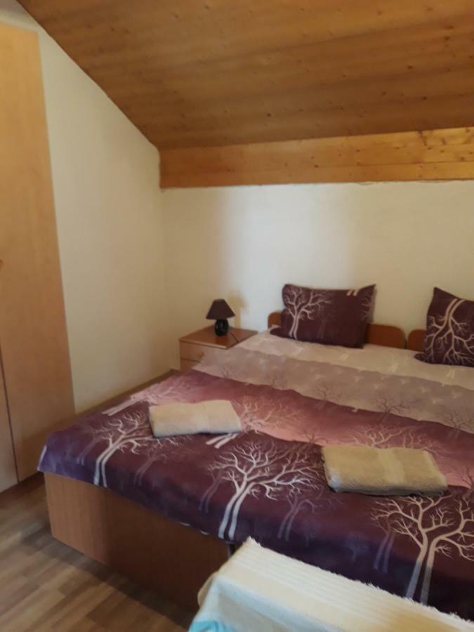 Apartment Suzana Mavrovo Room photo